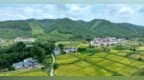 分宜县：乡村田园如画（图）
