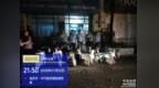 “飙车炸街”、非法改装 高安查处未成年人交通违法800余起