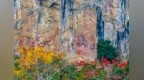文明探源｜花山岩画：崖壁上的千年回响