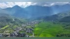 萍乡：秋日梯田美如画（图）