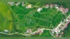 泰和县：良田铺翠 乡村如画（图）