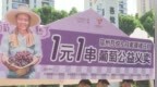 宿州市埇桥区：“葡”写青春 益满埇桥