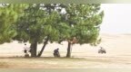 南昌：在江南水乡体验大漠风情（图）