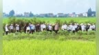 田埂上的“阅卷”