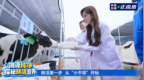 央视实地溯源见证，解码飞鹤“鲜奶粉时代”全链安全与鲜活底气