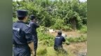 800多斤疯牛失控乱跑，鹰潭特警一枪“定”险