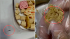 美国知名宠物冻干品牌试吃装被曝“爬出活虫”，涉事店铺回应
