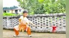 宜春7岁男孩练习武术“火了”，网友：中华好男儿！少年强则国强