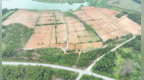 鹰潭贵溪：旱地变药田 打造特色产业（图）