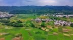 赣州：初秋时节 乡村和美（图）