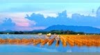 分宜县：落日鎏金映光伏 绿色赋能促发展（图）