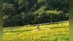 山野追风！亚布力山地自行车公园全新开放