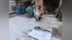 泰和惊现“持枪猎户”！警方：已刑拘，枪弹全缴