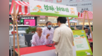 合肥中医养生文化市集点亮淮河路