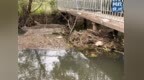 临川区秋溪镇宜惠渠中下游人行桥桥墩堆积杂物 影响河道水流畅