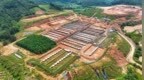 南丰龟鳖种源保护基地加紧建设