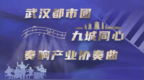 长图|武汉都市圈九城同心 奏响产业协奏曲