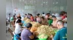 峡江“入户听诉”办好民生实事 办结民生问题超9000件