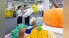 吉安清凉产品海外热销 成为外贸稳中有进新增长点