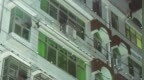 八旬老人筑巢守护“小邻居”四年