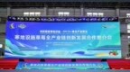 零能耗温室破解寒地种植瓶颈，吉林草莓有望实现冬季自给