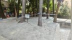 广州一人行道树池泥土表面被水泥封死，街道回应