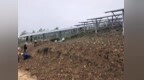 彭水县光伏项目违规毁林30公顷被追责，企业缴纳26.28万赔偿金并原地复绿