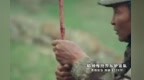 赴天山之约，听玛纳斯回响，走进纯美阿合奇，阿合奇宣传片正式上线啦！