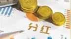 首超200亿元，矿企“巨无霸”，大手笔分红