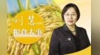 谁在渲染恐慌？ 警惕粮食危机炒作