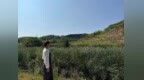 山水咸阳 | 抓实常态巡河 守护碧水长流