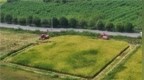 千里“铁骑”下梁平：600余台外地收割机与一座巴渝粮仓的“双向奔赴”