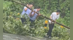 “看到警车过来时，我就知道一定会停下！”安徽民警暖心清障