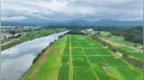 黄山市屯溪区：掌上管稻田 数字技术绘就乡村好“丰”景