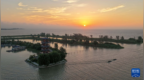 江苏泗洪：洪泽湖湿地生态美