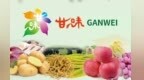 “甘味”进军新疆　吹响辐射中亚市场的号角