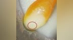 安徽一宝妈称婴儿辅食发现辅食机刀片碎片，浦利顿回应