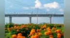 兰州新区马拉松专属文旅礼包上线　快来解锁