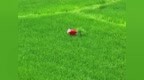 该不该“贴秋膘”？初秋进补因人施养