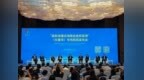 去海南，不只过冬还能“过海”