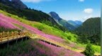 乘索道穿行云海花海　邂逅甘肃官鹅沟童话秘境