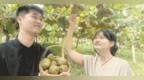 奉新县：激活商会力量 赋能乡村振兴（图）
