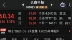 市占率仅8%的长鑫科技，凭什么市值登顶A股？