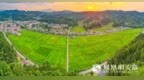 安徽安庆：青山环抱稻浪兴 和美乡村入画来
