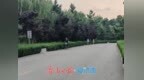 大河之上群鸟蹁跹 游人悠闲置身安澜画卷