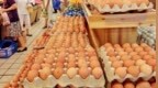 8月鸡蛋为什么涨价