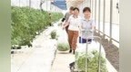 农村自来水普及率全省第一！景德镇绘就乡村振兴生动答卷