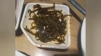 顾客在豪客来牛排海带丝中吃出长约5厘米的树枝 门店拒绝依法赔偿