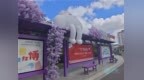 候车亭变身文旅打卡地，冰城探索城市公共空间活化新模式