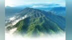 裕河护林人